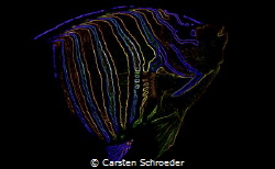 Neon young imperator by Carsten Schroeder 